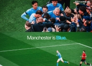 开云在线直播-波兰逆转那不勒斯，哈兰德关键制胜的简单介绍