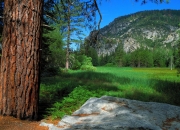 开云体育下载-年度焦点之战，凯尔特人全面碾压爵士，战术与意志的完美胜利