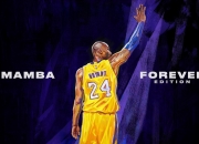 开云体育登录-维尼修斯闪耀伯纳乌，瑞士铁卫导演史诗翻盘—皇马逆转巴黎启示录