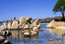 开云官方app入口-关于快船力克鹈鹕，布克绝境逆转的信息