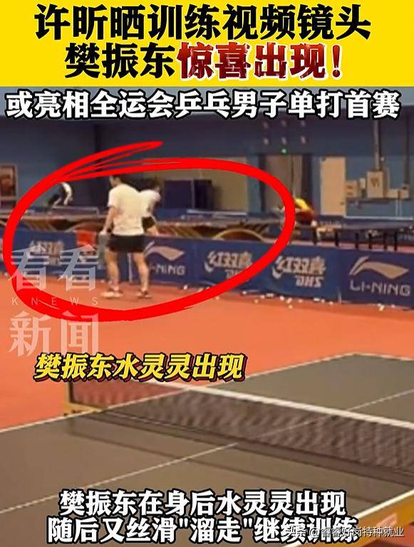 英国乒乓球队碾压法国乒乓球队，许昕高光表现的简单介绍