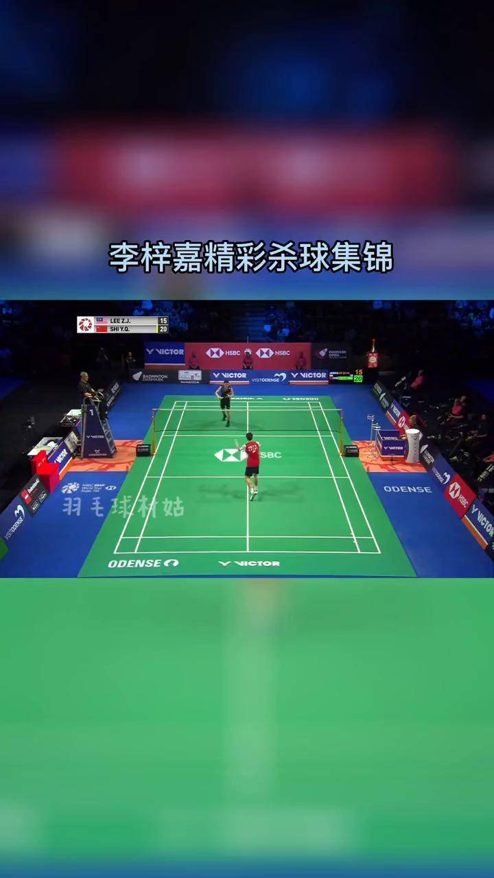 法国队逆转丹麦队，李梓嘉点燃赛场