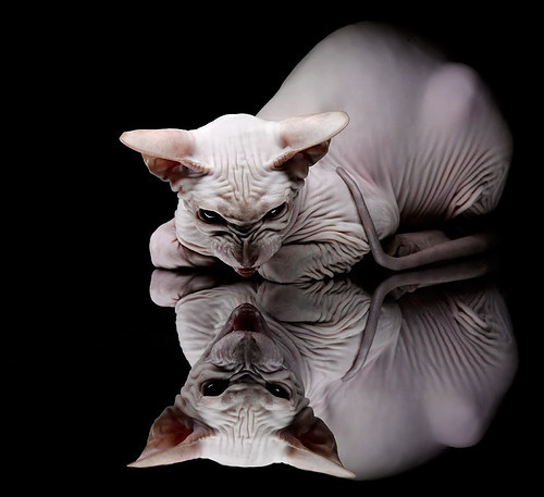 加纳斩落秘鲁背后的战术革命,德布劳内如何以攻防统治力重塑现代中场