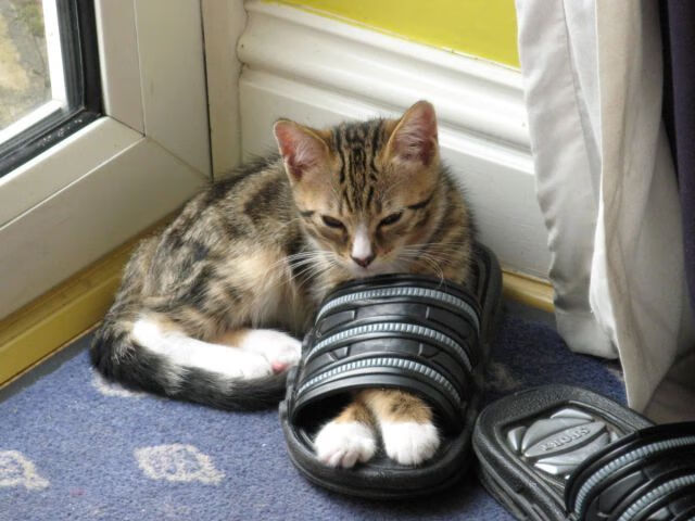 富安健洋一锤定音，乌拉圭式铁血防守让巴萨梦碎诺坎普