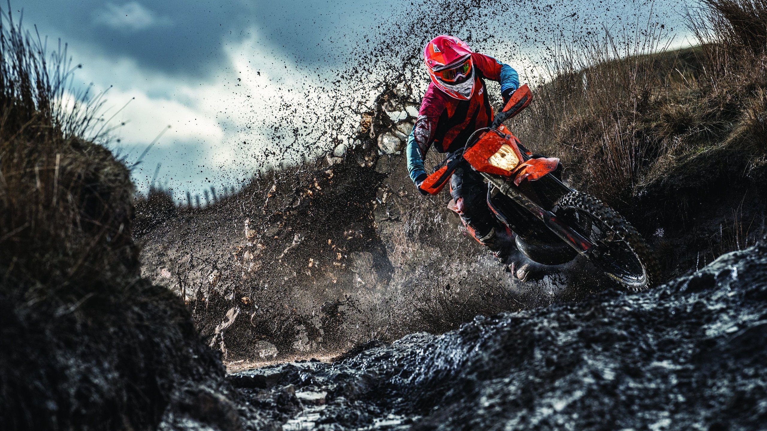 森林狼一波带走篮网,字母哥成为关键先生