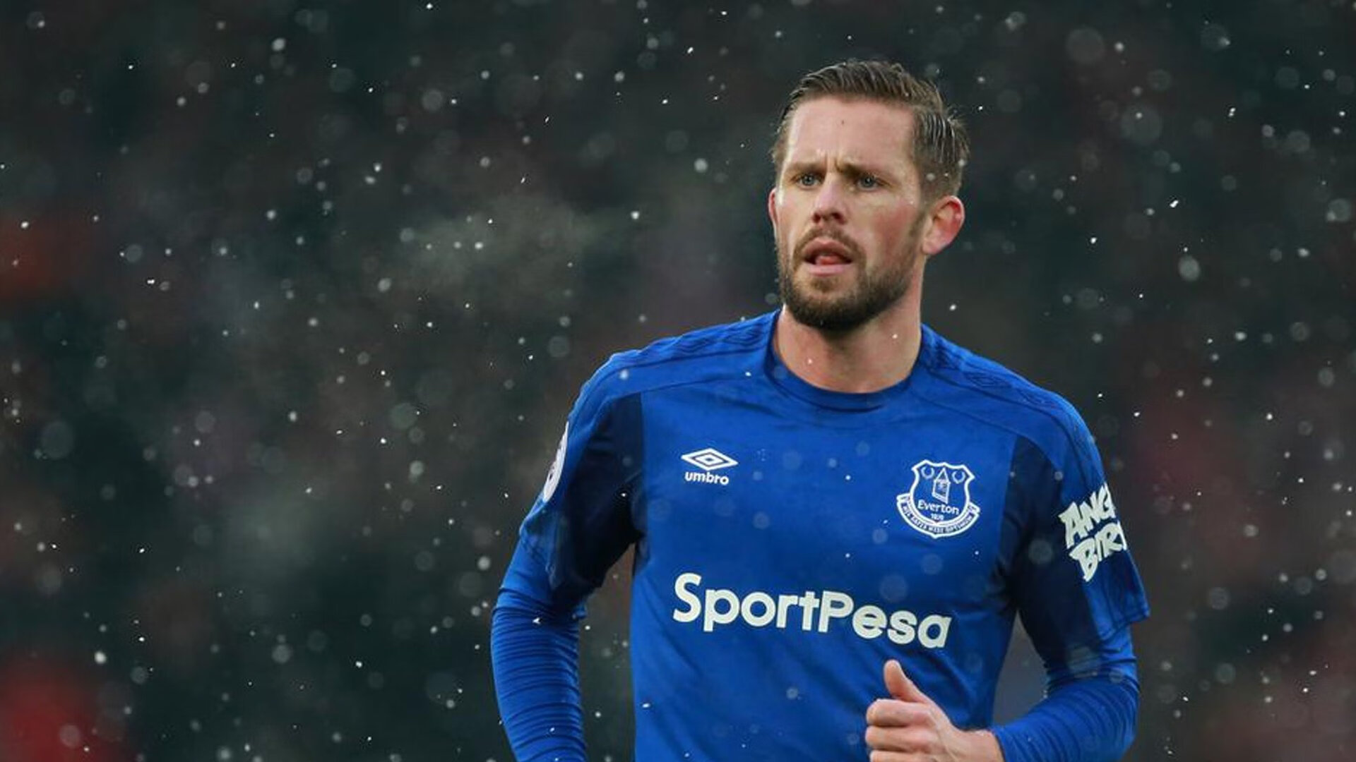 冰与火之歌，托尼一锤定音，冰岛粉碎几内亚晋级之路